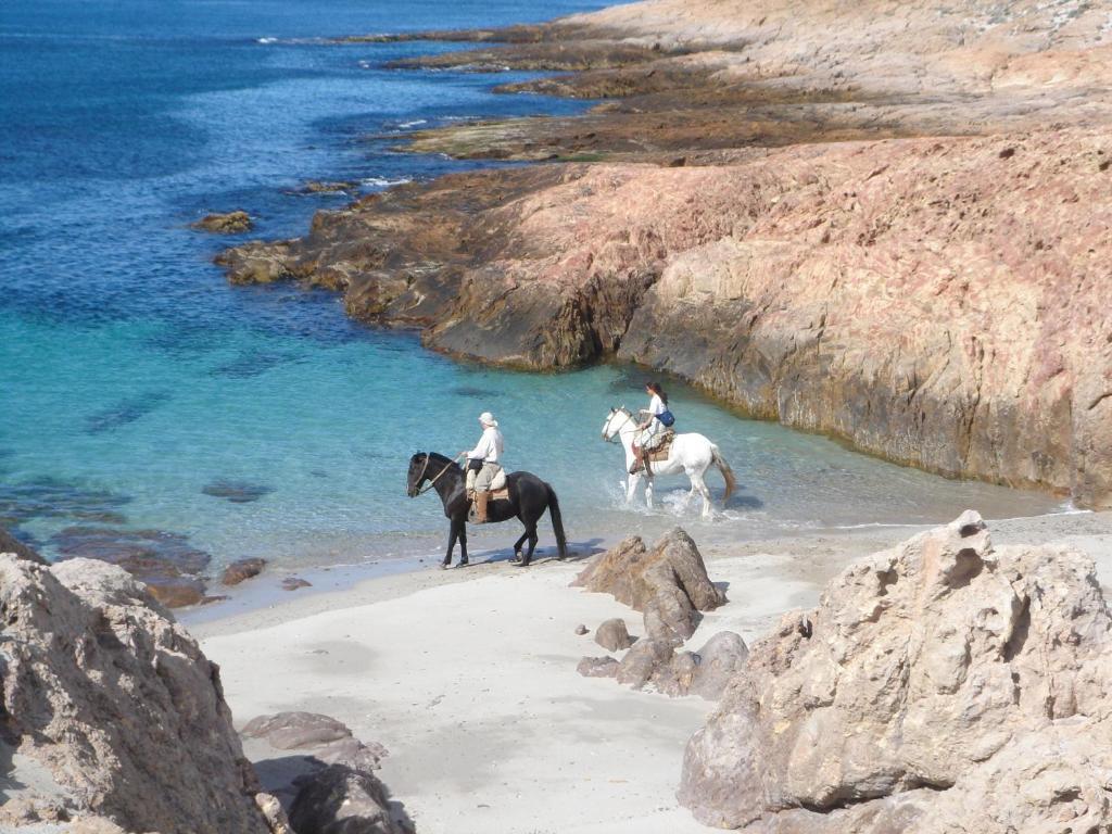 Bahia Bustamante Lodge エクステリア 写真